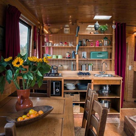 Houseboat פינקפיין מראה חיצוני תמונה