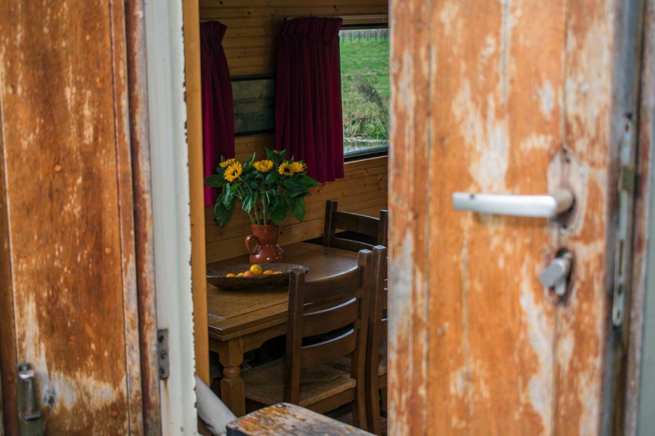 Houseboat פינקפיין מראה חיצוני תמונה