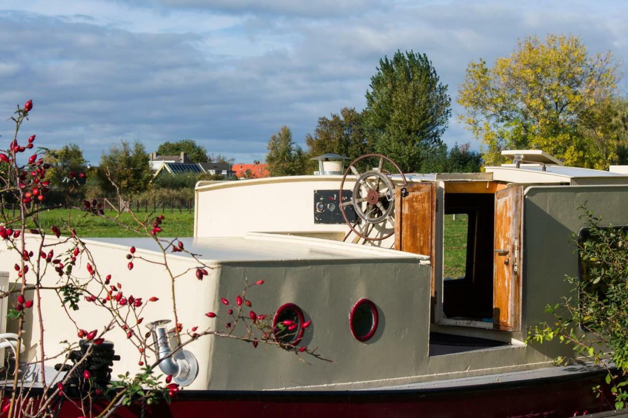 Houseboat פינקפיין מראה חיצוני תמונה