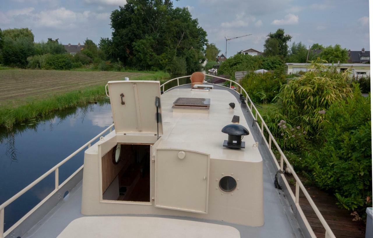 Houseboat פינקפיין מראה חיצוני תמונה