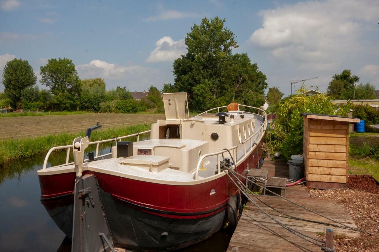Houseboat פינקפיין מראה חיצוני תמונה