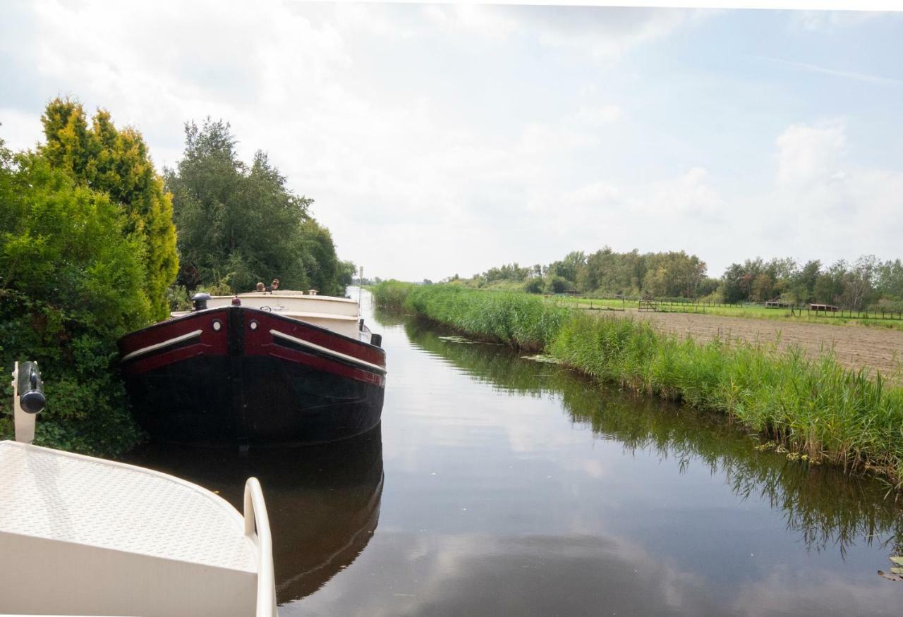 Houseboat פינקפיין מראה חיצוני תמונה